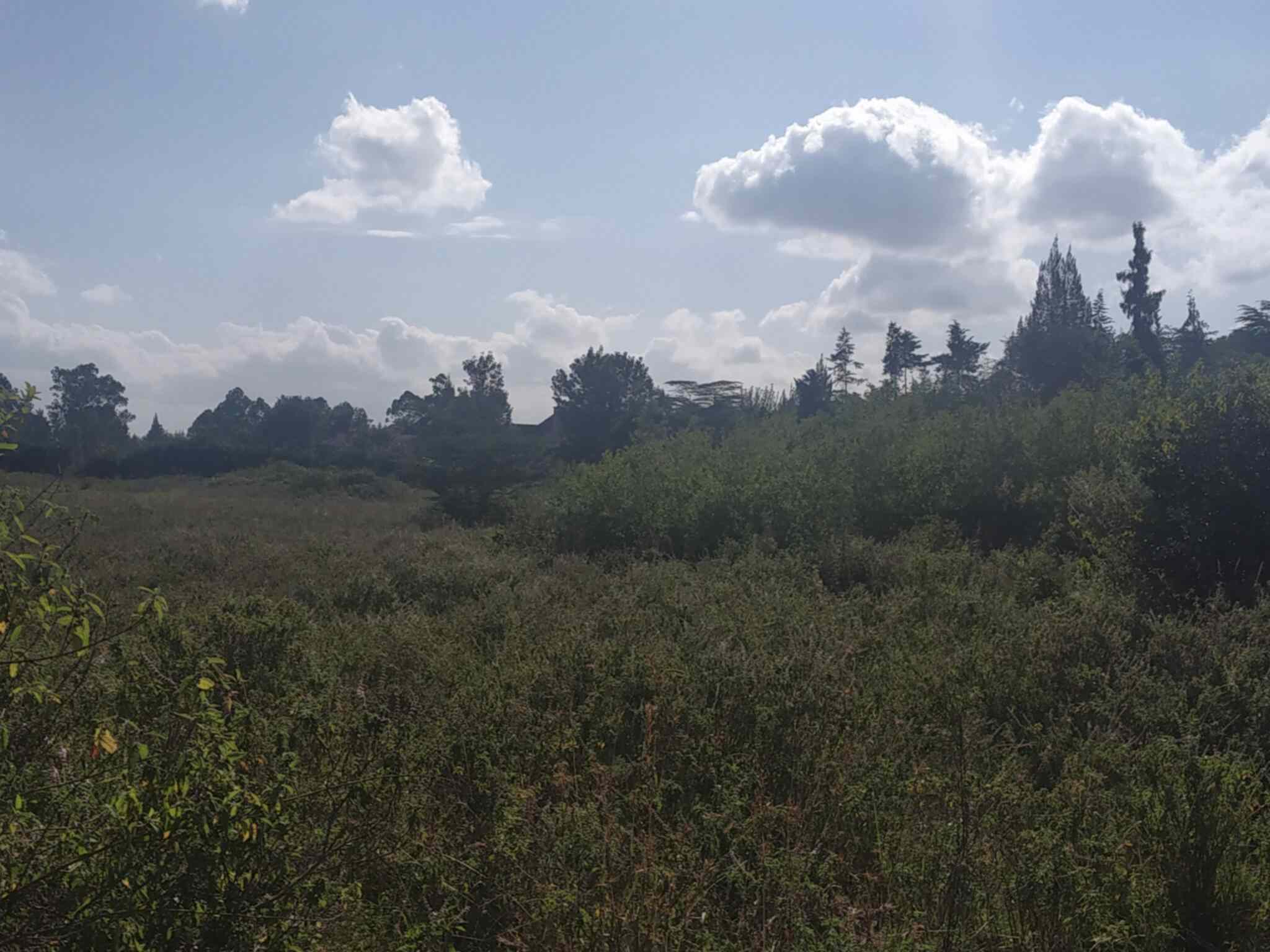 Land in Karen for sale