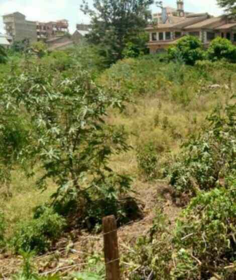 Land in Kasarani hunters for sale