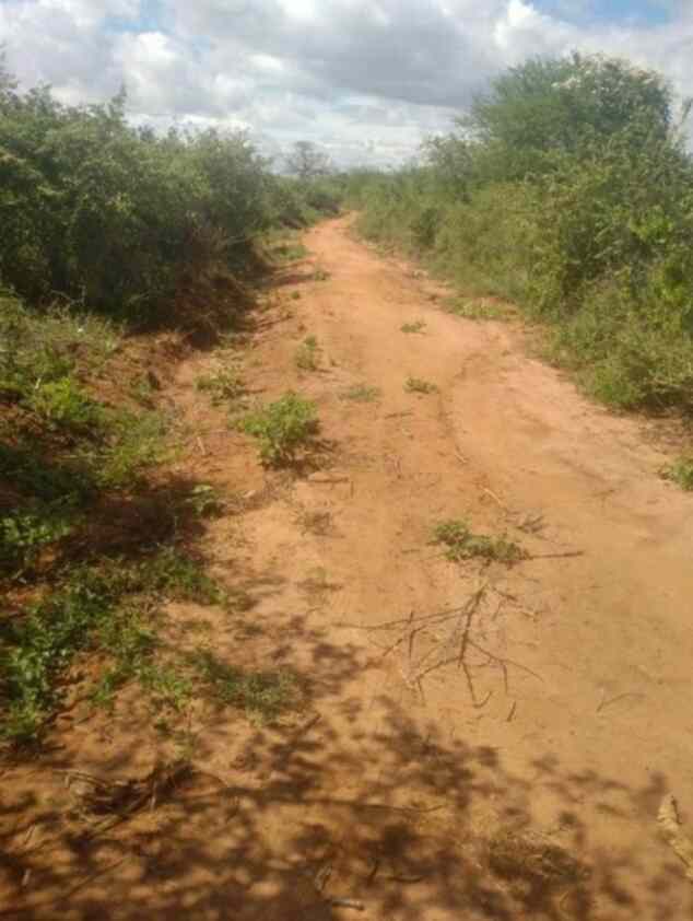 Land in Kibwezi for sale