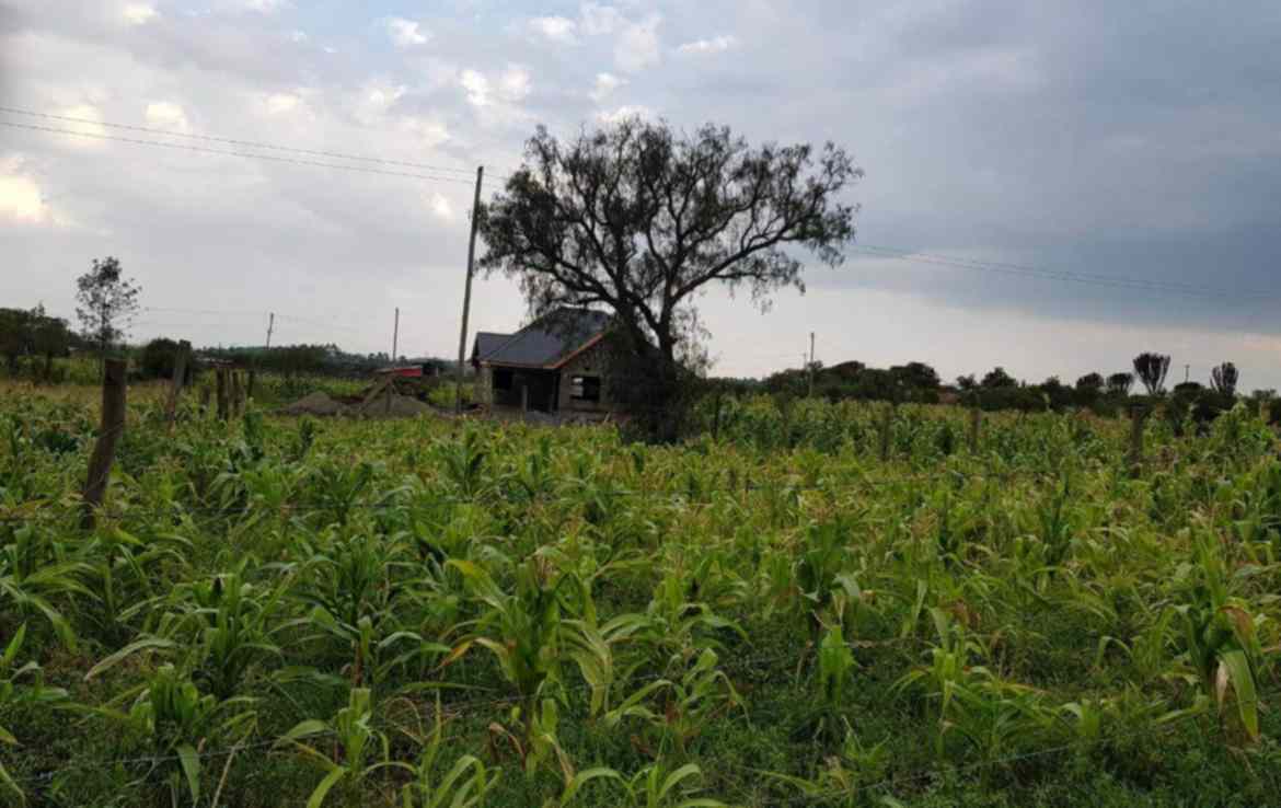 Land in Nakuru Shauri Moyo for sale