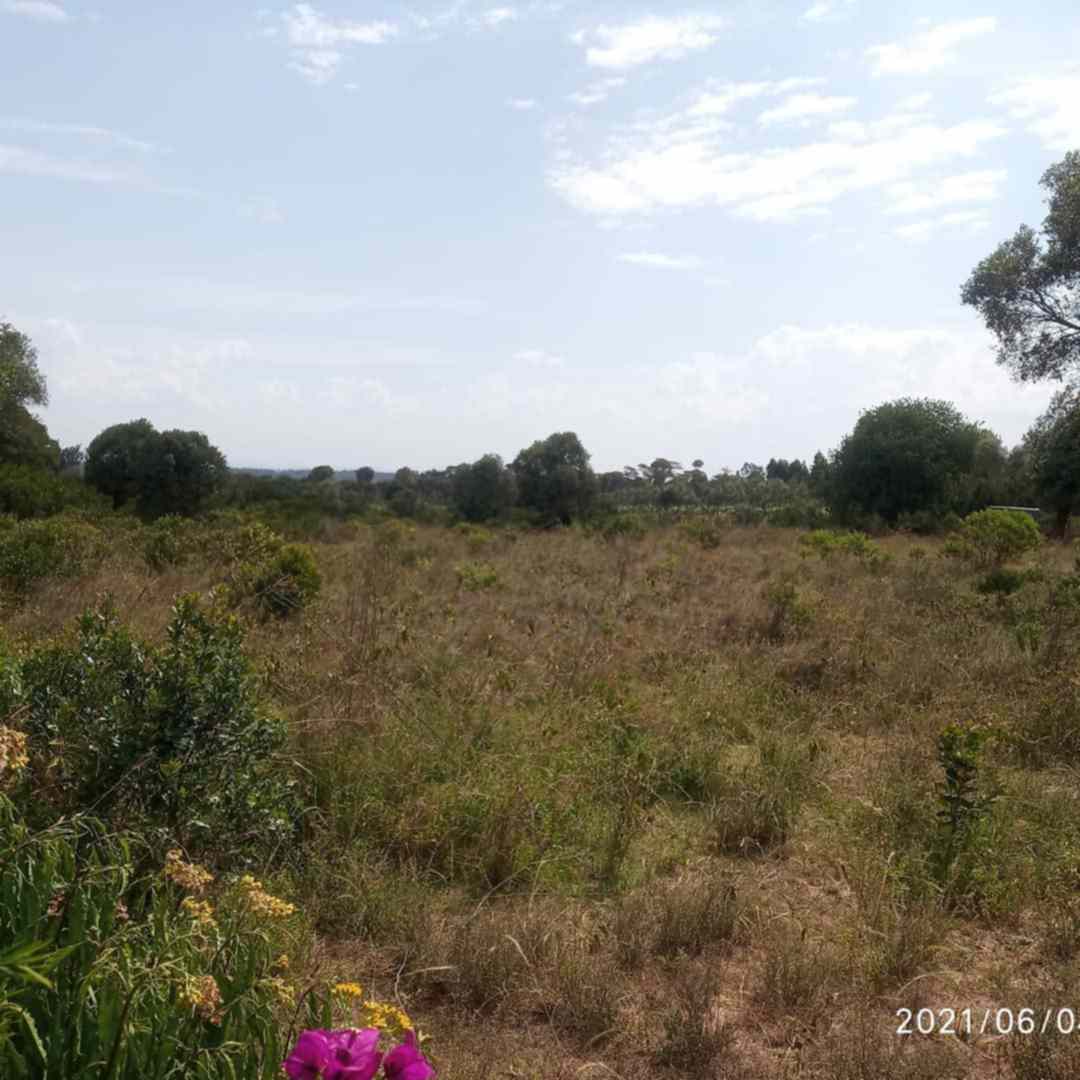 Land in Nanyuki for sale Burguret area