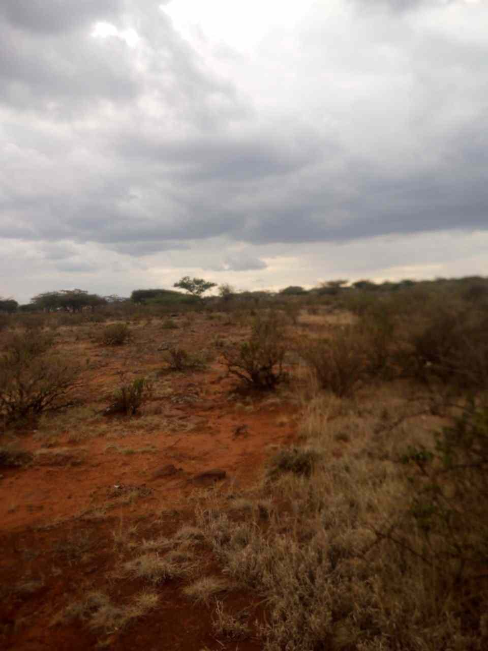 Land in Ngong Hills for sale