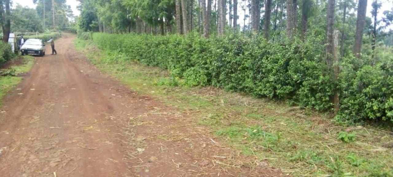 Land in Othaya Nyeri for sale