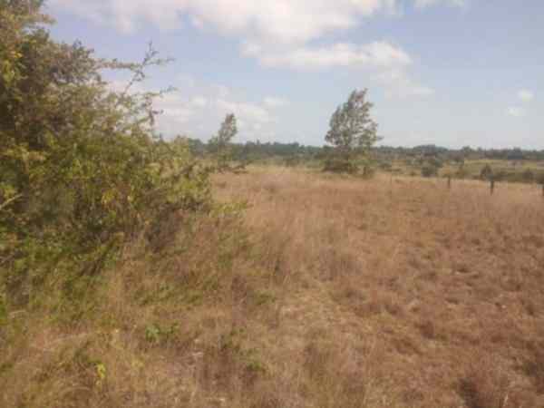 Land in Rongai Narumoro for sale