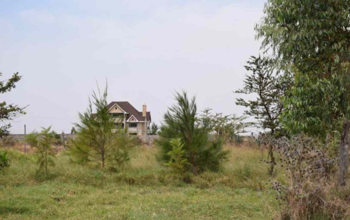 Land in Ruiru Kamakis green valley for sale