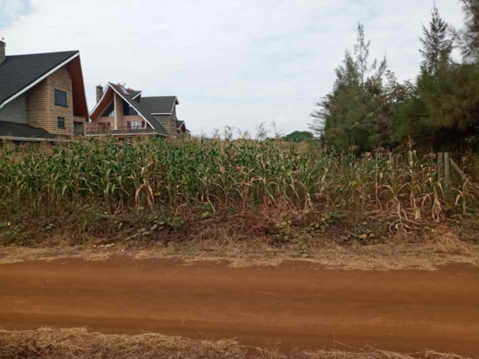 Land in Ruiru Kimbo for sale