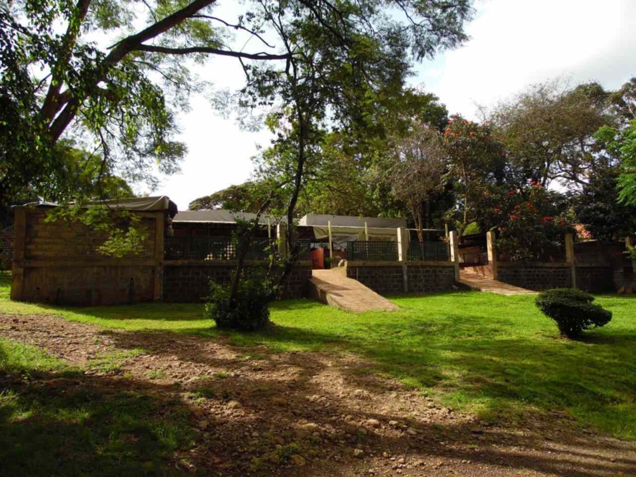 Land with a big house for lease in Lavington