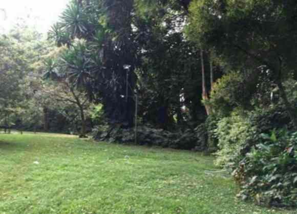 Land with house for sale in Karen