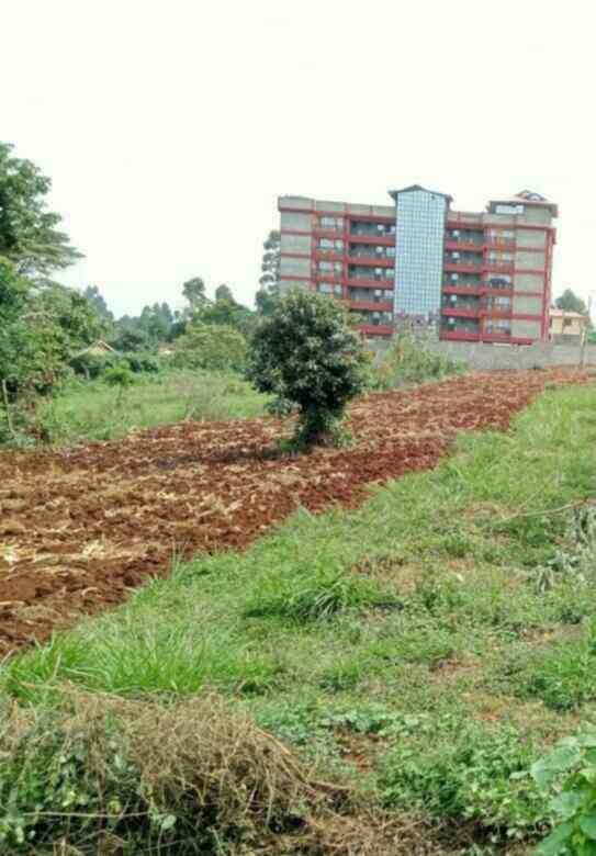 Land in ruaka for sale