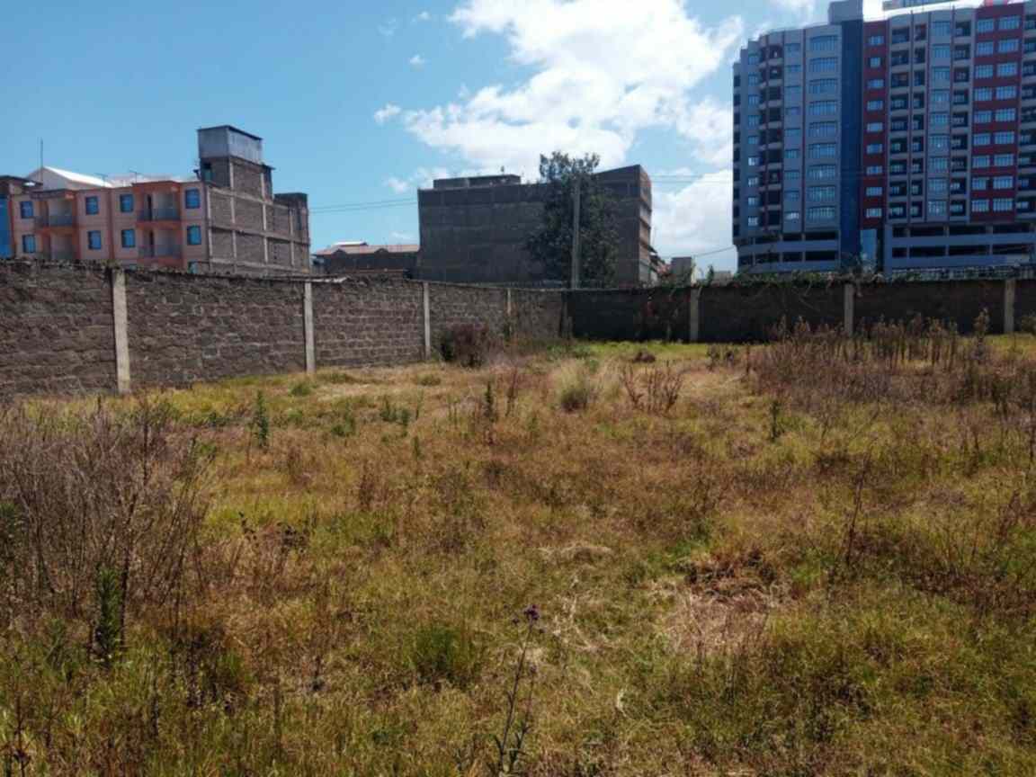 Nanyuki cbd land for sale