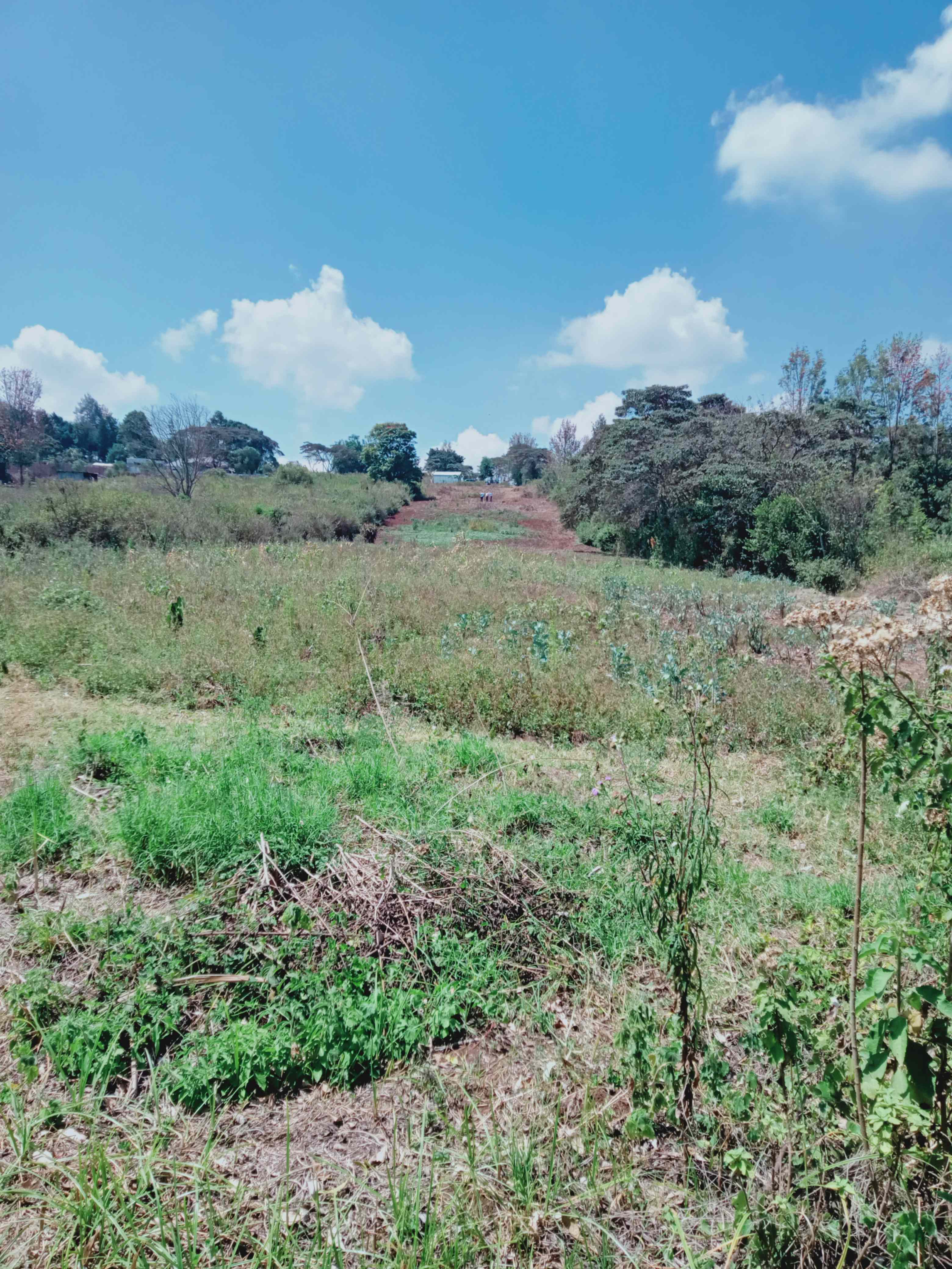 1.6 acre land for sale in Ngong near shopping centre