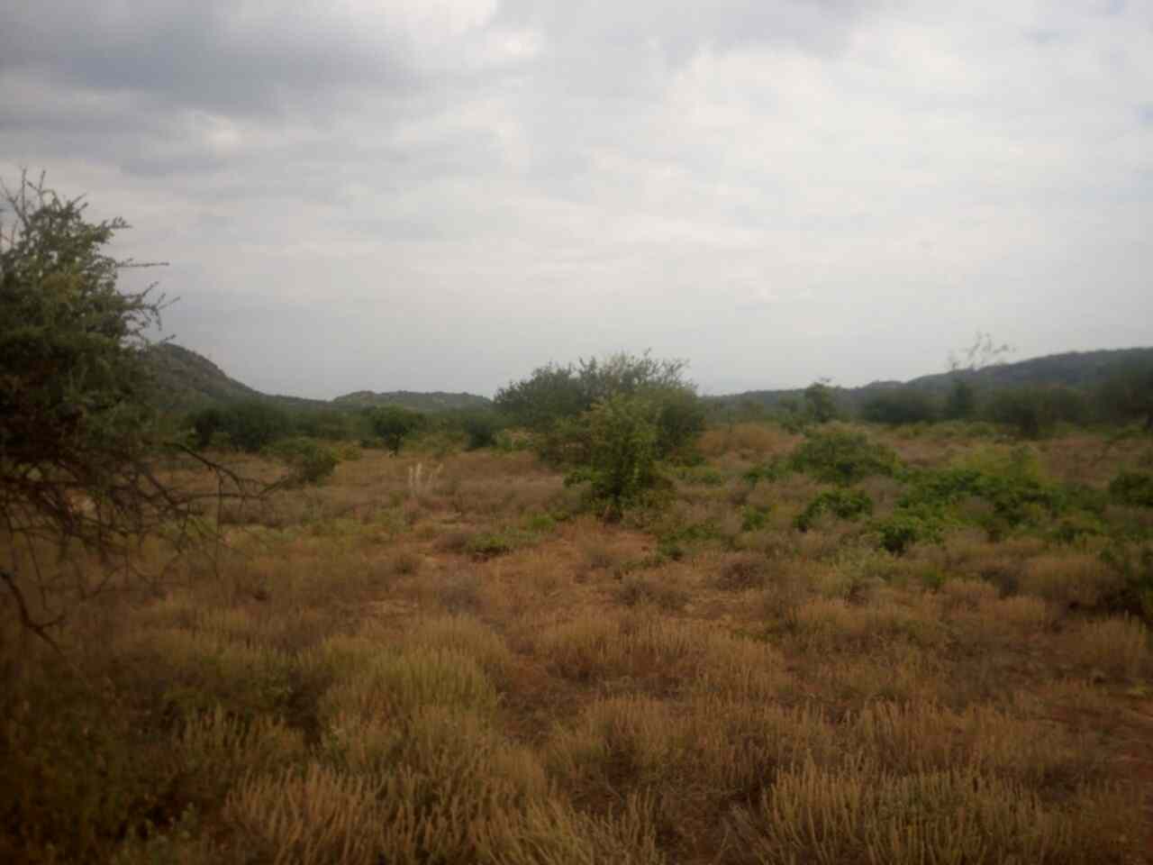 Ngong Suswa sgricultural land for sale