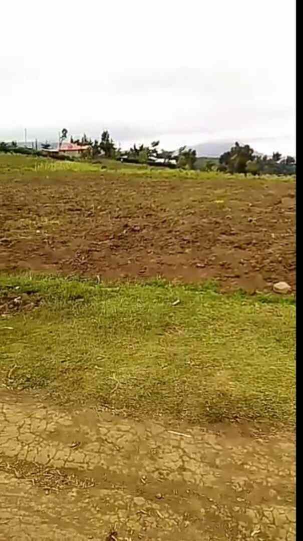 Land for sale in Naivasha Kinungi Fly