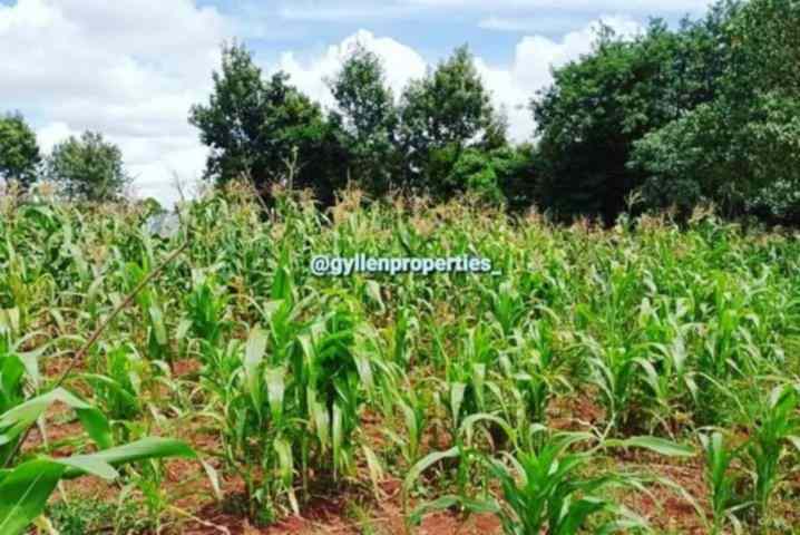 One and a half acre plot for sale in Mutuini Dagoretti