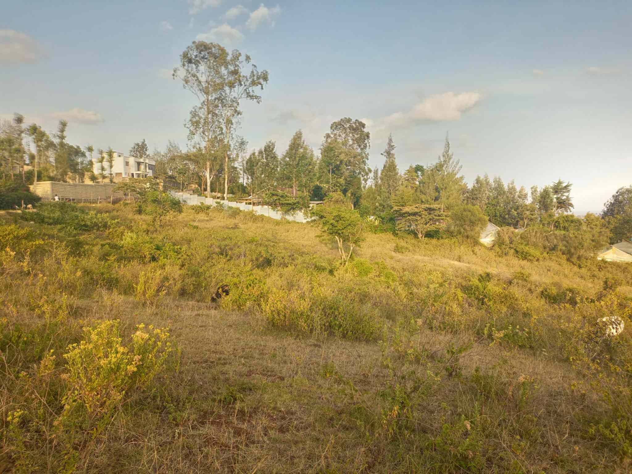 Plots for sale in Matasia Ngong