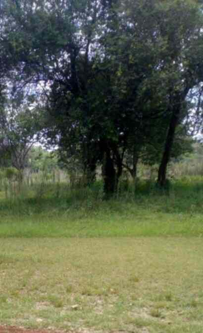 Prime land for sale in Karen