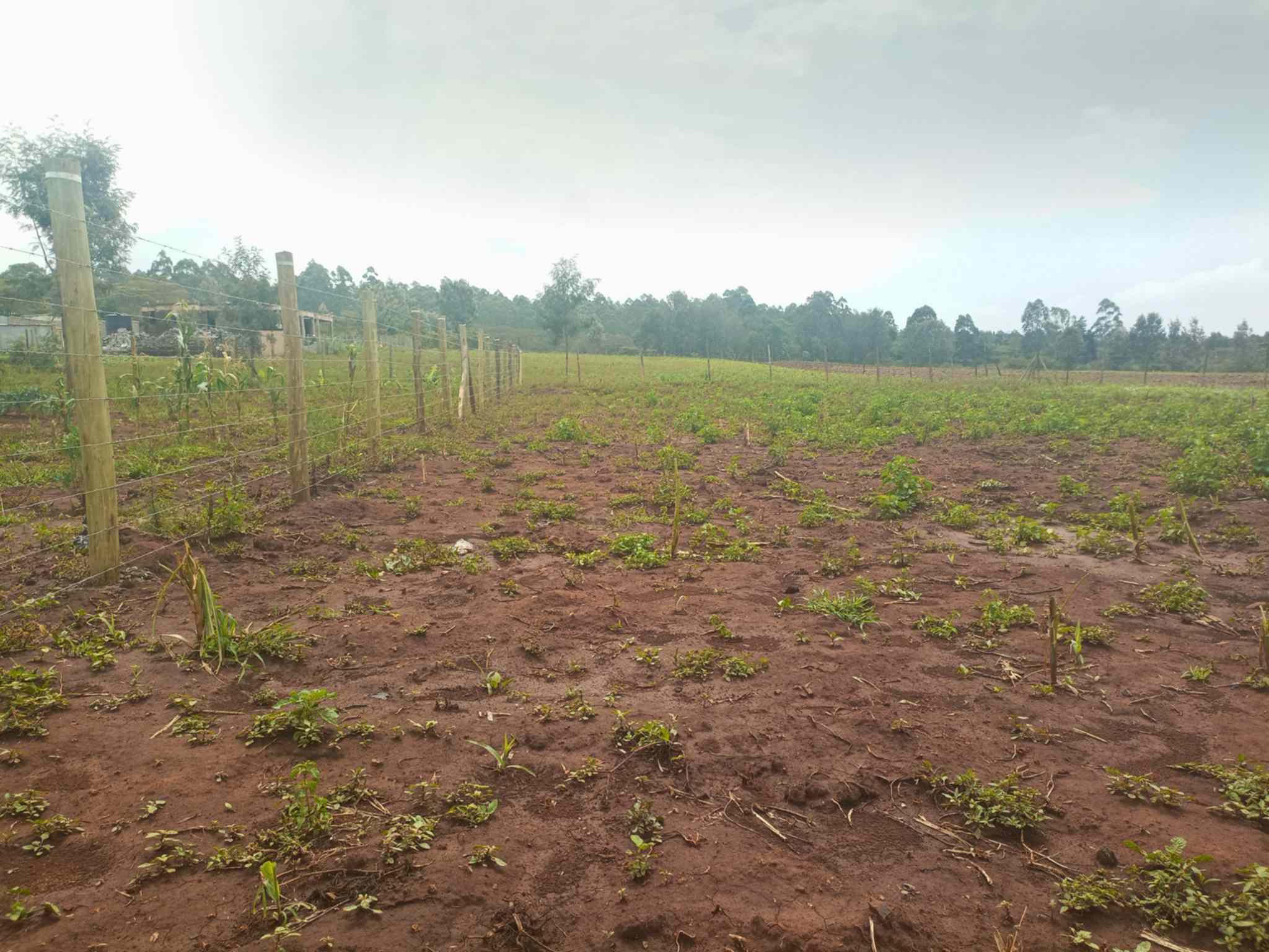 Quatre acre for sale in Ngong Kibiko