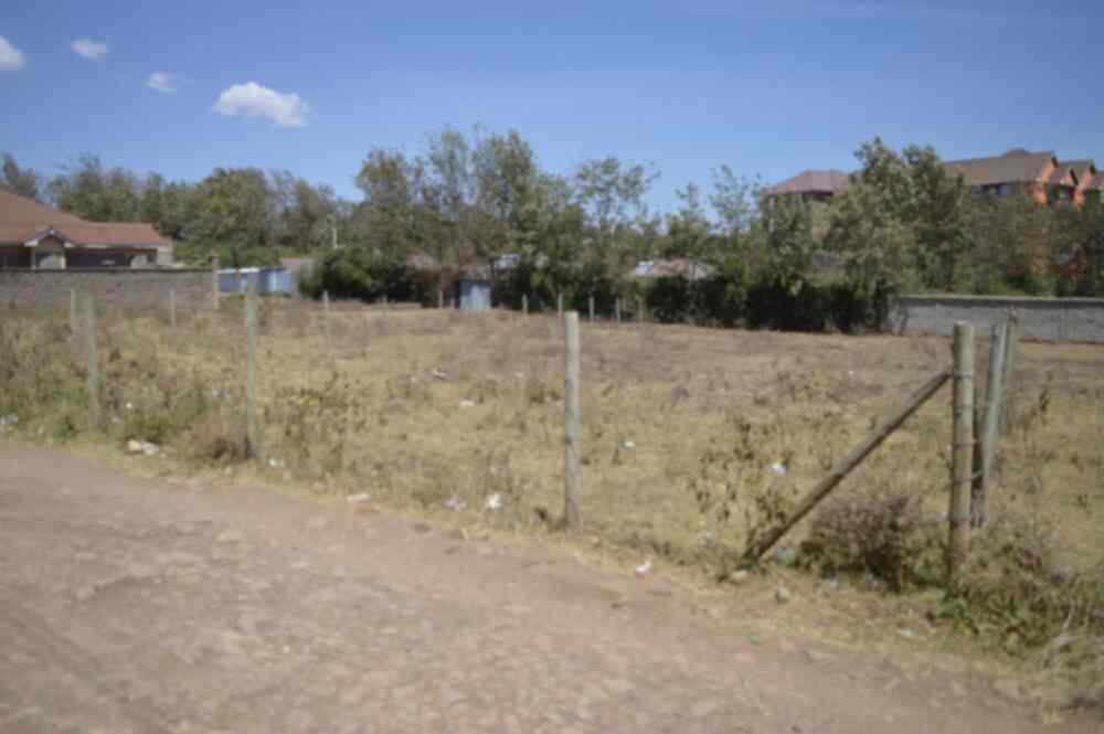 quatre acre land for sale in Ngong Kibiko