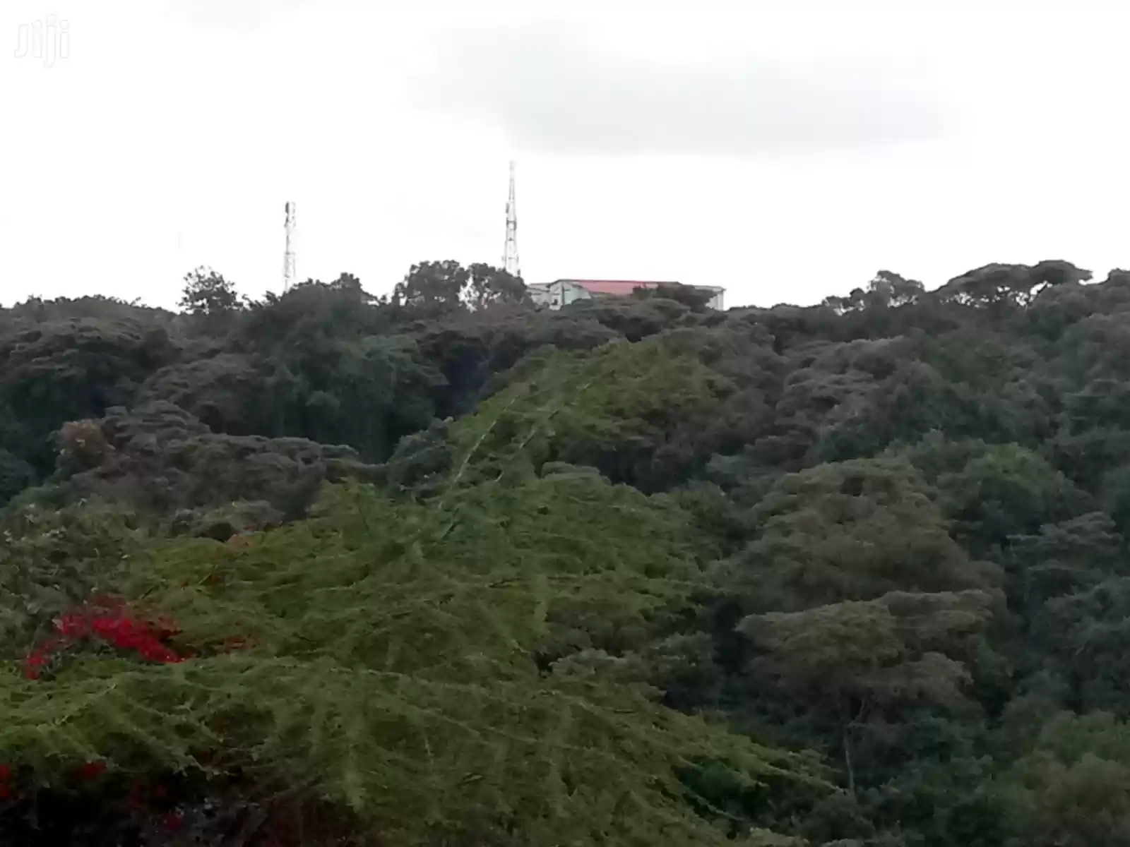 quatre acre Land for sale in Rongai Gataka road