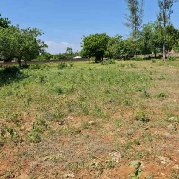 Quatre acre plot for sale in Diani South coast