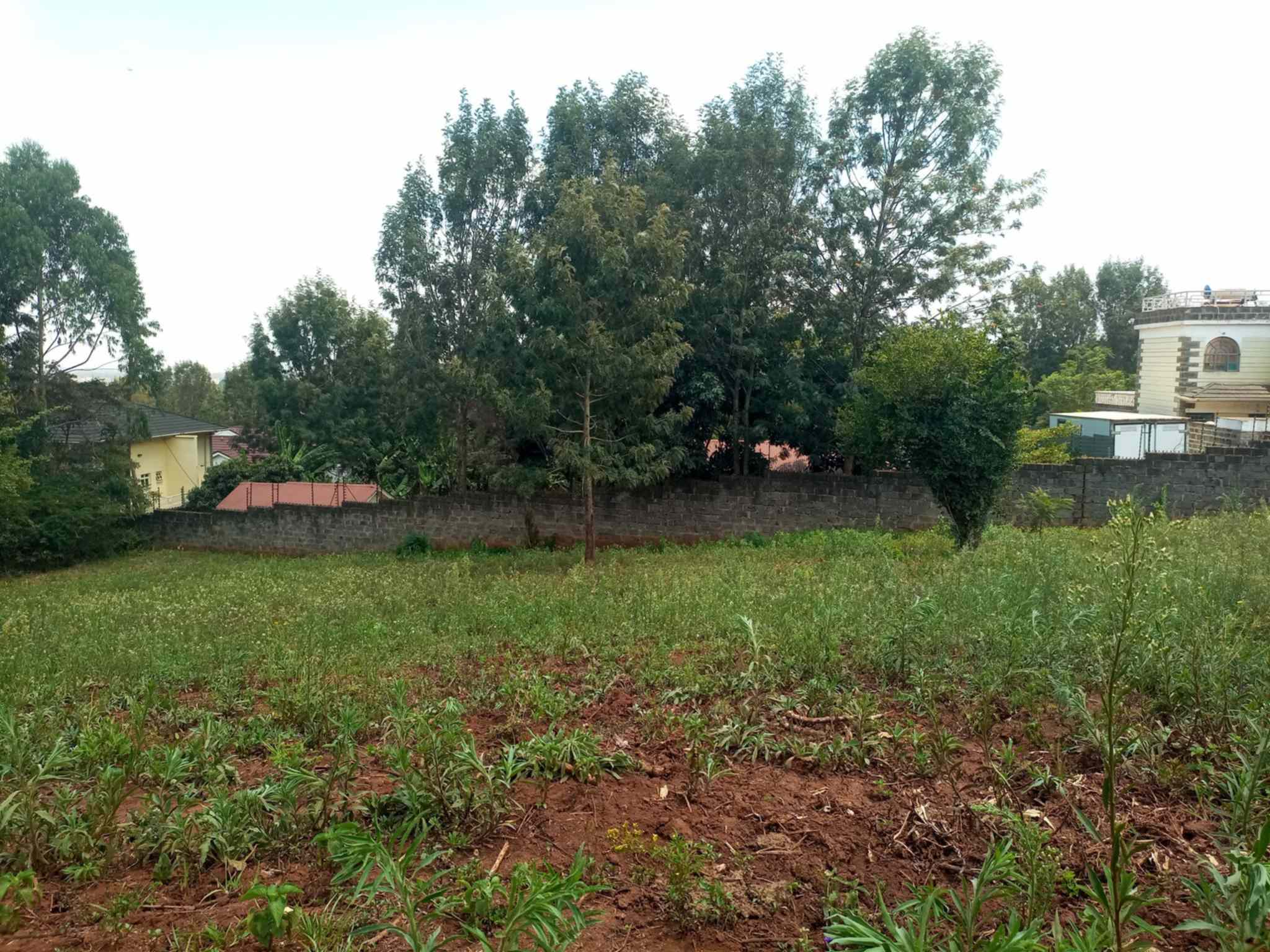 Quatre acre plot for sale in Ngong Kerarapon