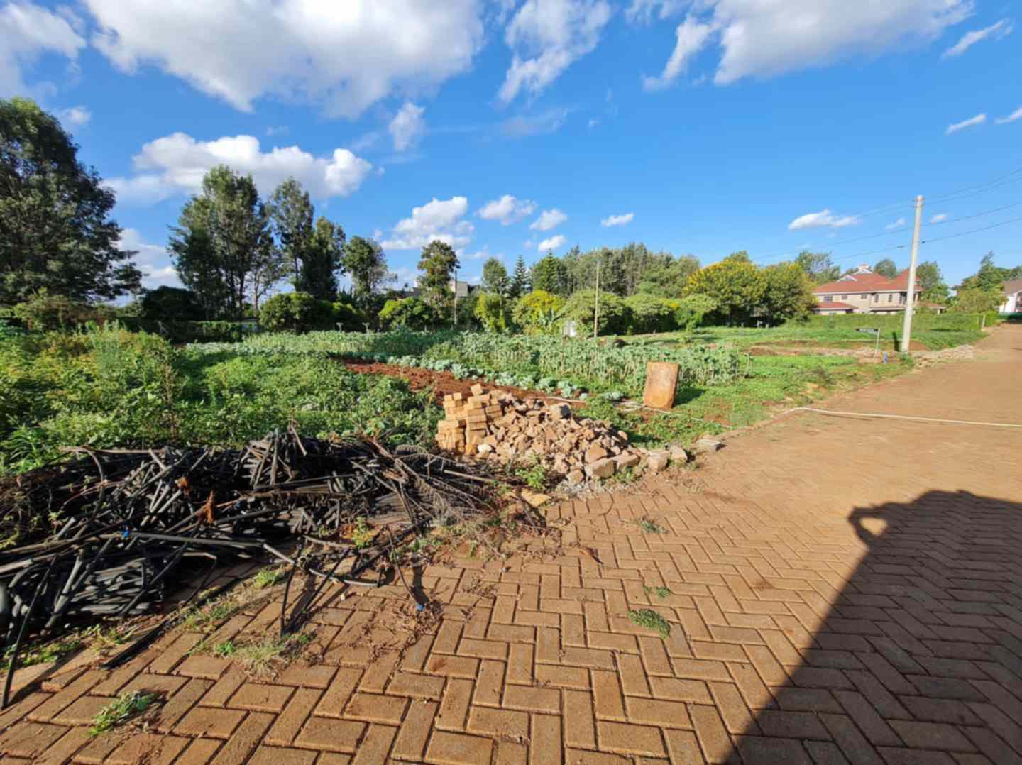 Quatre acre plot for sale in Runda Mhasibu
