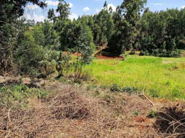 Quatre acre plot for sale in Wangige Nyathuna