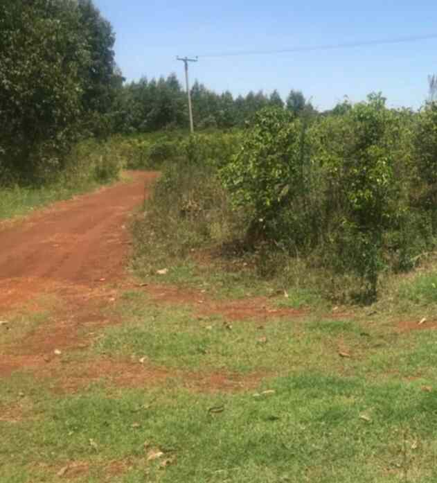 Ruiru Kimbo Land 1 acre for sale