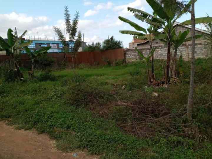 Ruiru matangi land for sale