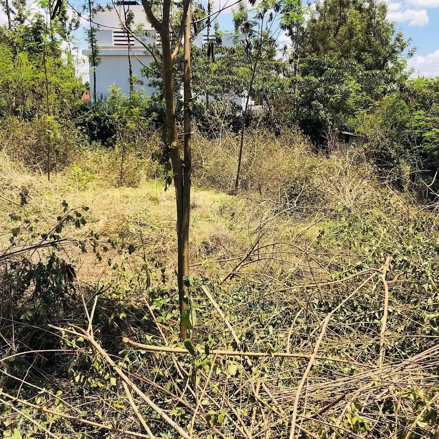 0.25 acre for sale in Membley Ruiru Image