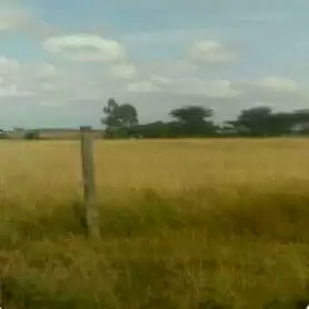 0.25 acre plot for sale in Kantafu Kangundo road Image