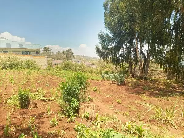 0.25 acre plot for sale in Ngong Kibiko Image