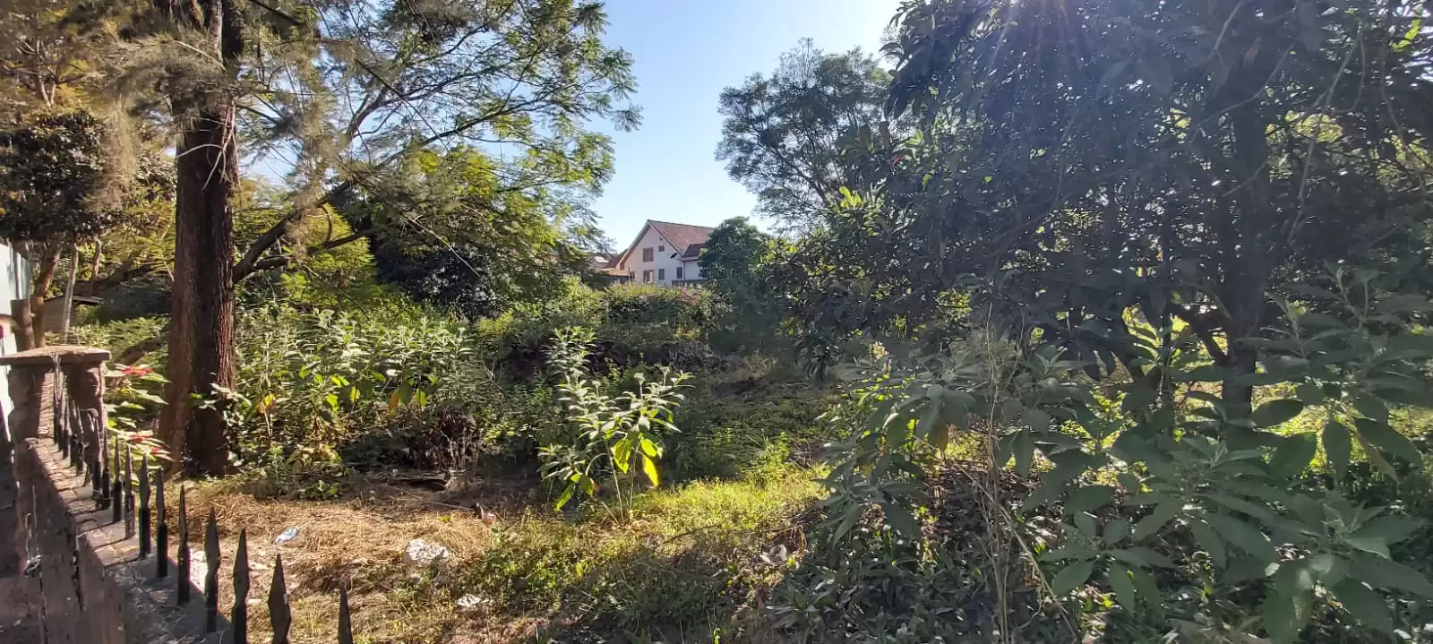 0.75 acre land for sale in Lavington Amboselli Image