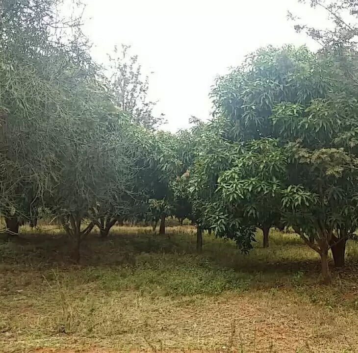 1 acre agricultural Land for sale in Kambiti Makuyu Muranga Image