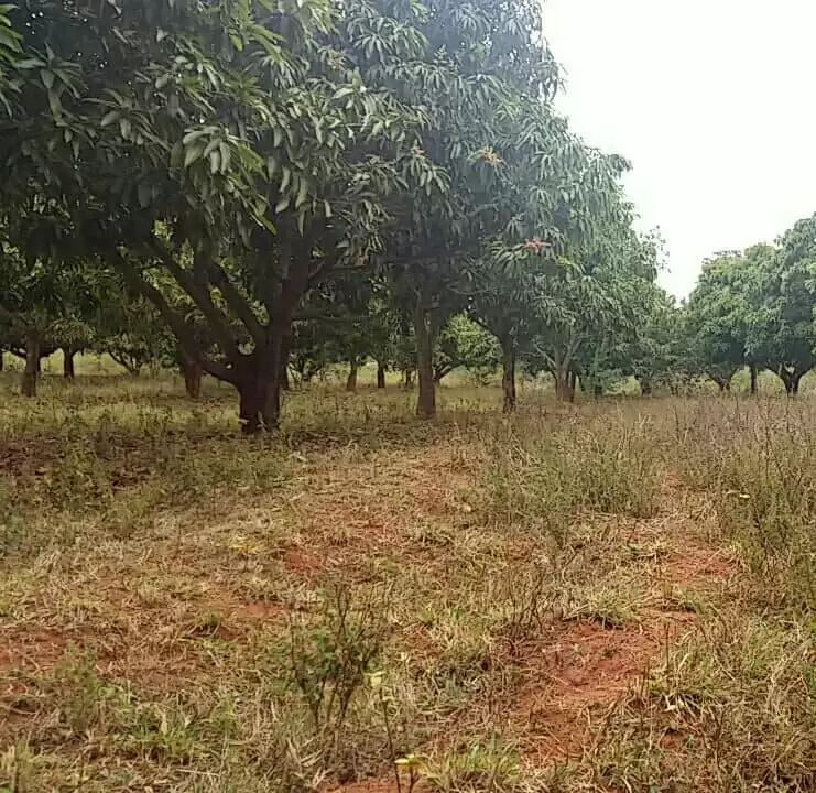 1 acre agricultural Land for sale in Kambiti Makuyu Muranga Image