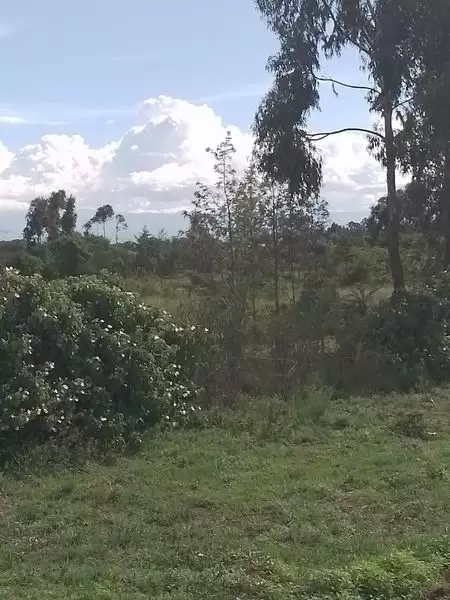 1 acre farmland for sale in Nanyuki Sweetwaters Image