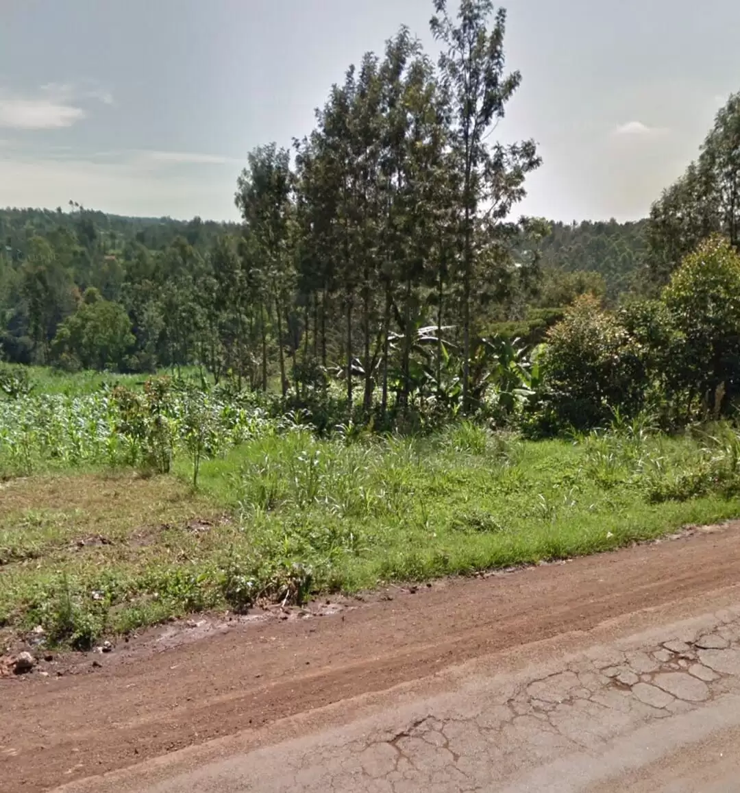 1 acre land for lease in Ruaka Image