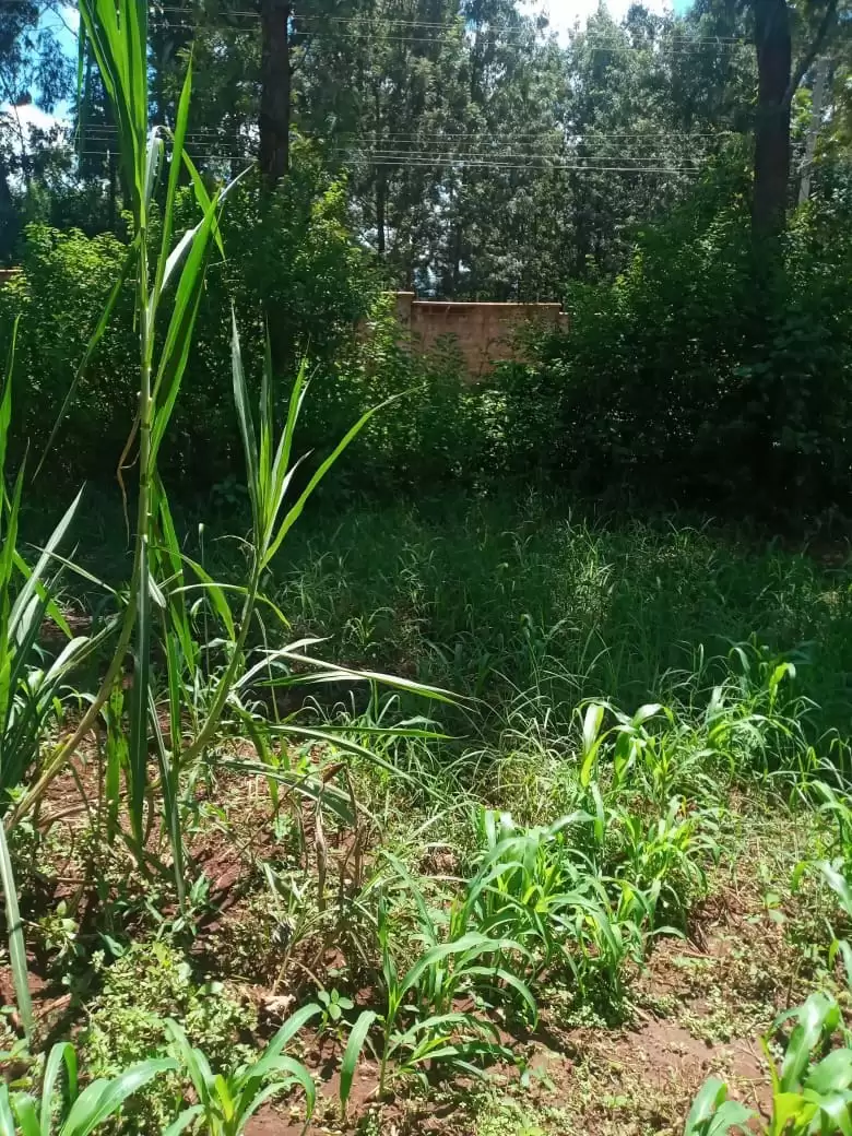 1 acre land for sale in Kenol Makuyu Muranga Image