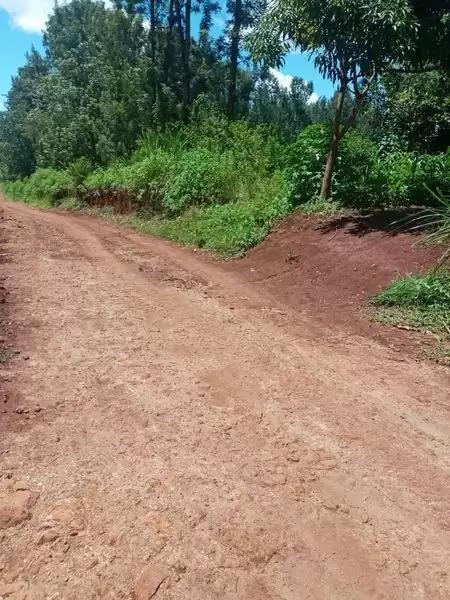 1 acre land for sale in Kenol Makuyu Muranga Image