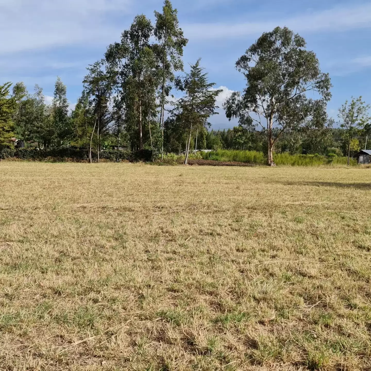 1 acre land for sale in Nanyuki Image