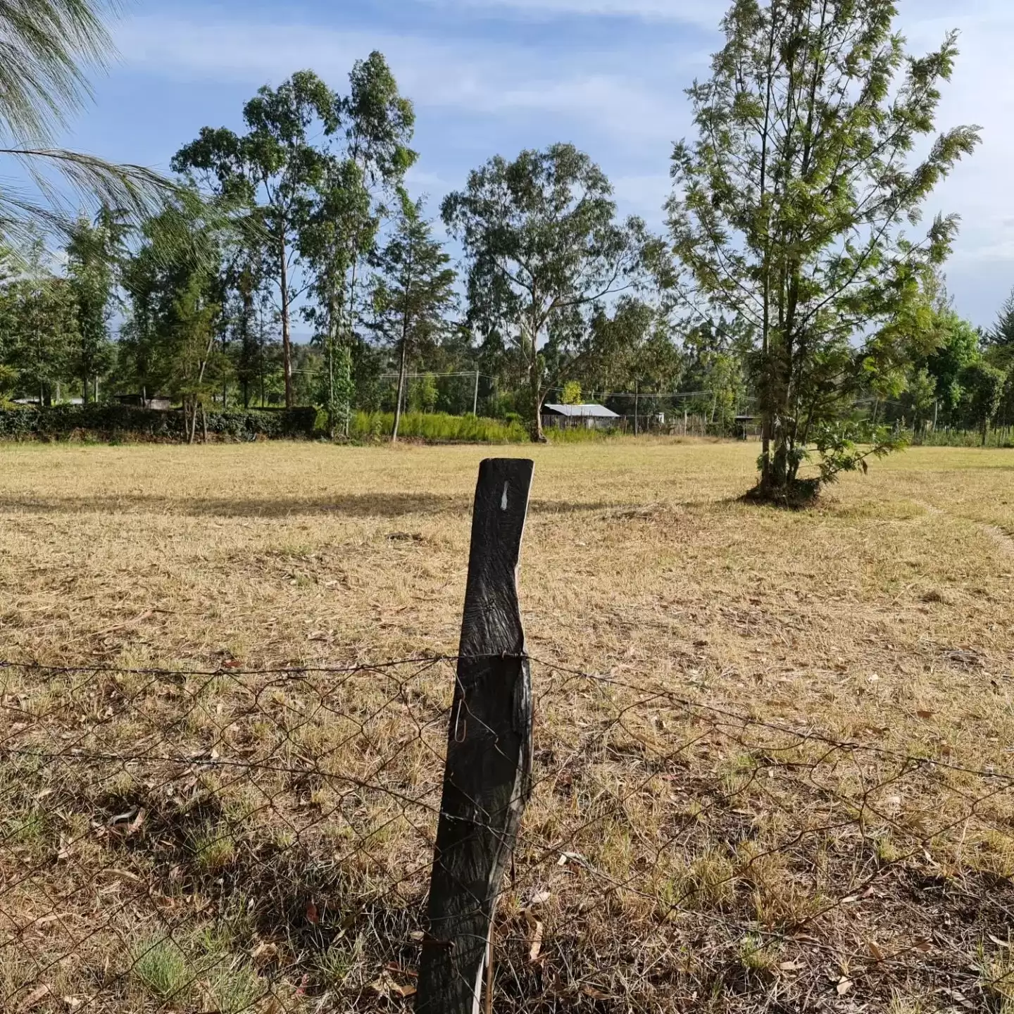 1 acre land for sale in Nanyuki Image