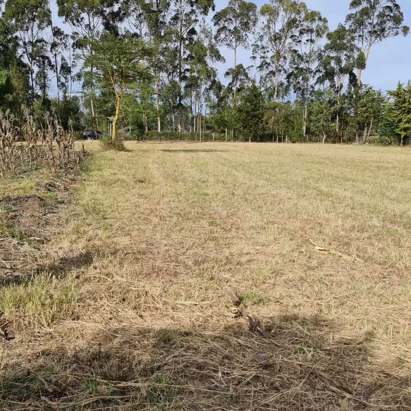 1 acre land for sale in Nanyuki in Nanyuki, Kenya Propscout