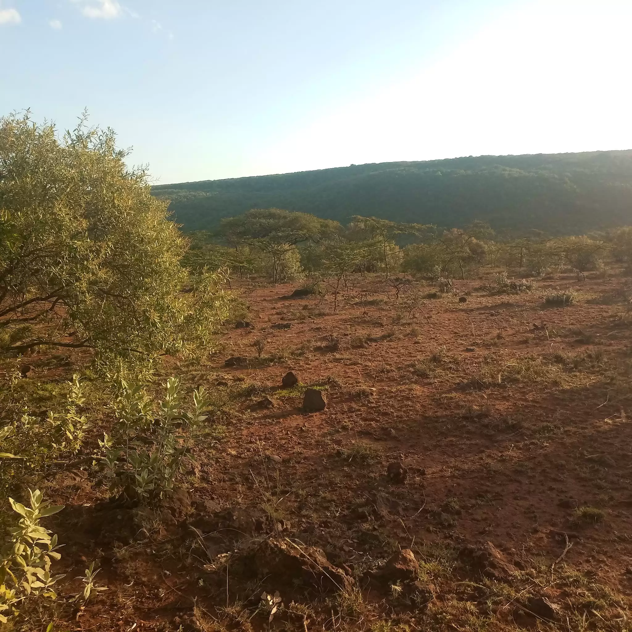 1 acre land for sale in Ngong Image