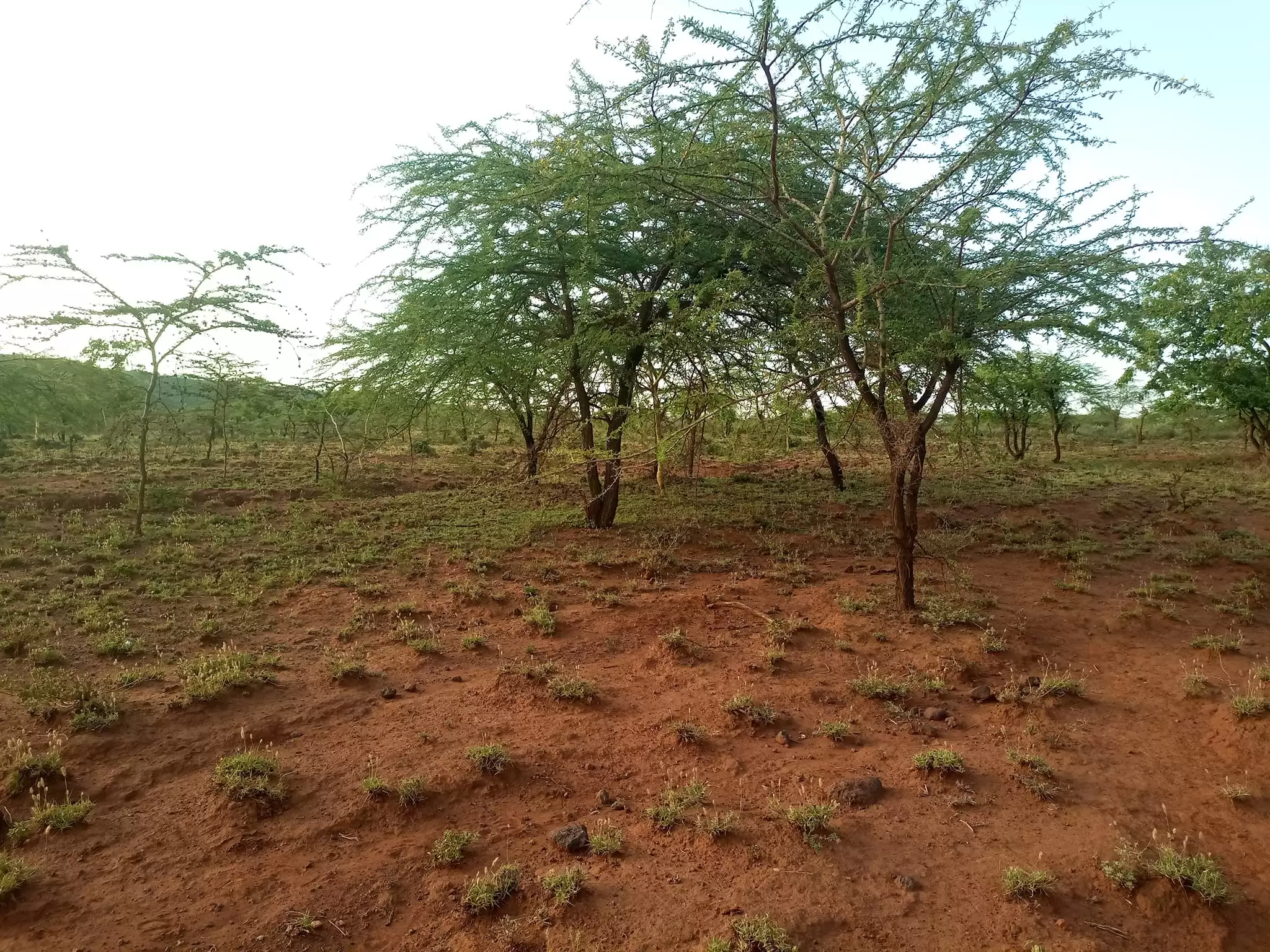 1 acre land for sale in Ngong Image