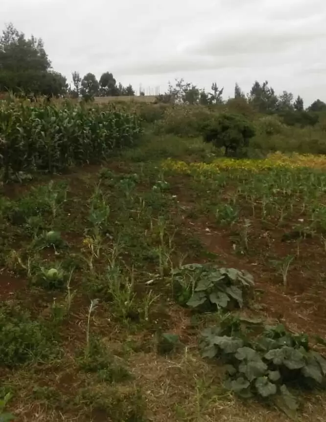 1 acre land for sale in Old Kitisuru Image