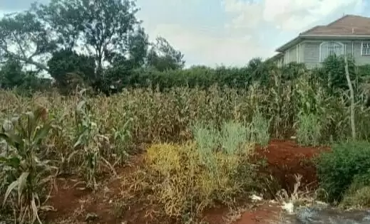 1 acre land for sale in Old Runda near Angolan Embassy Image