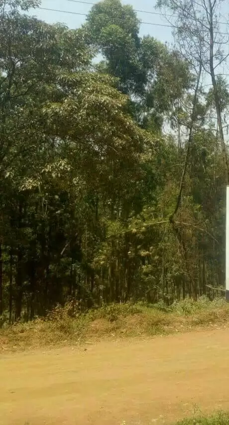 1 acre land for sale in Ruaka Image