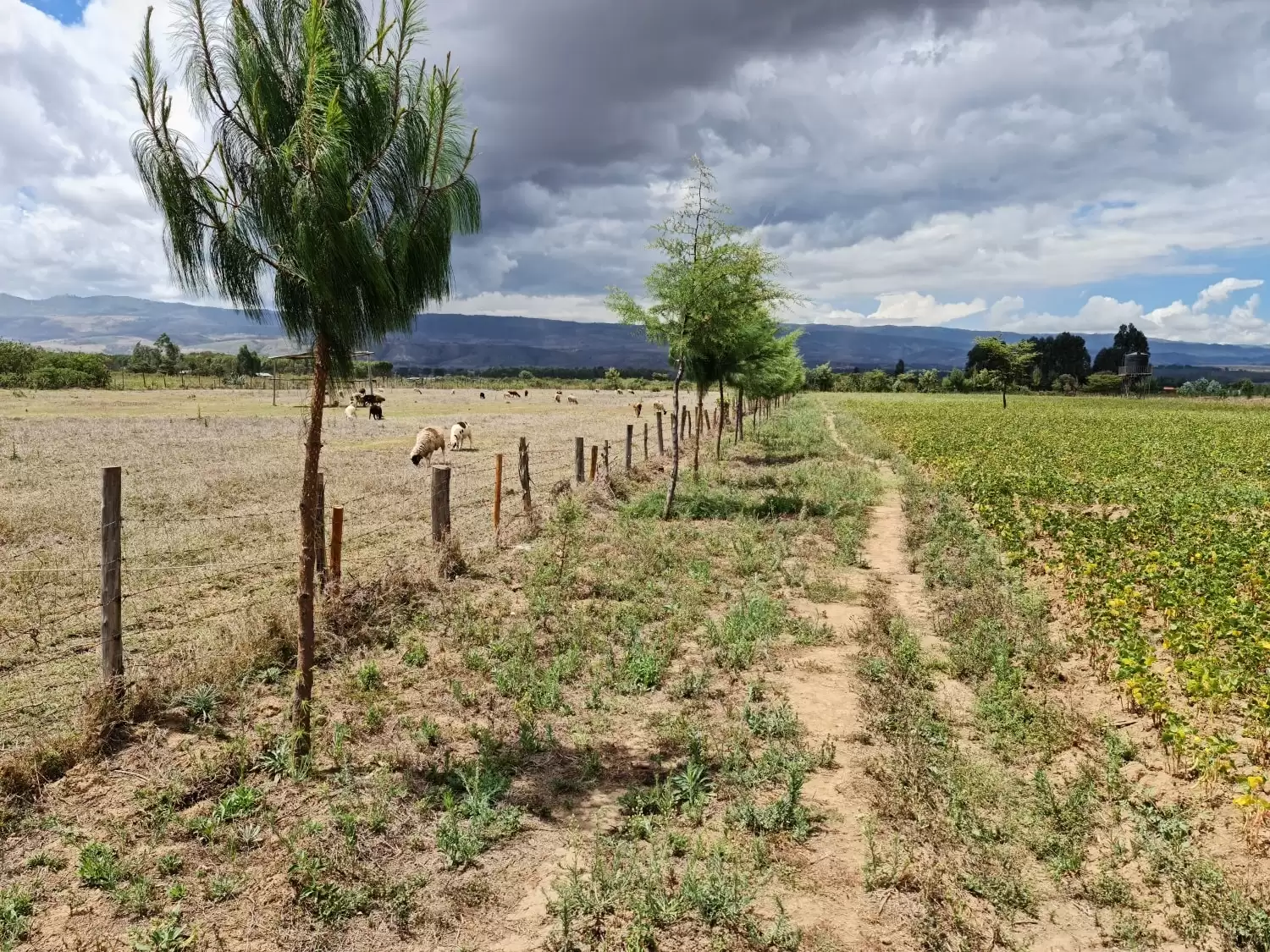 10 acre agricultural land for sale in Naivasha Image