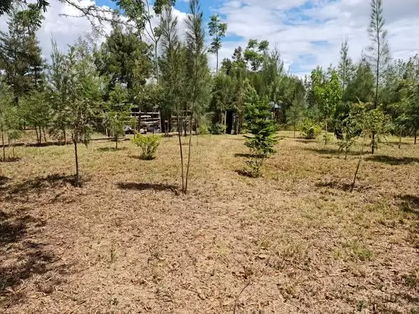 10 acre agricultural land for sale in Naivasha Image