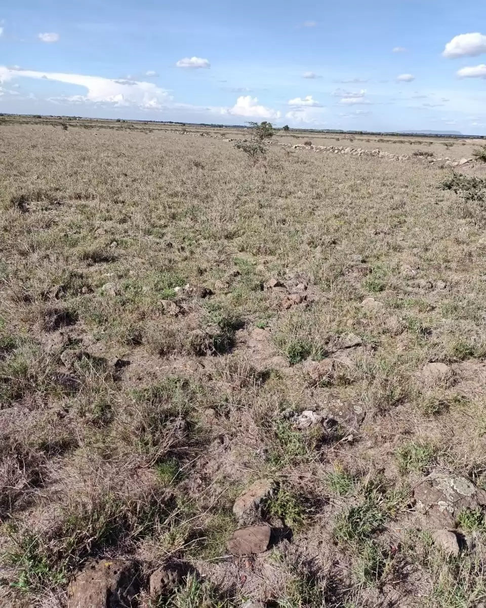 10 acre land for sale in Isinya Enkirigirri Image